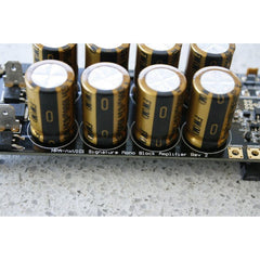 HPA-NXV101 R2 Signature Mono Block Amplifier Module - (Discontinued) - Holton Precision Audio